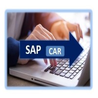 Online SAP CAR Training By Proexcellency